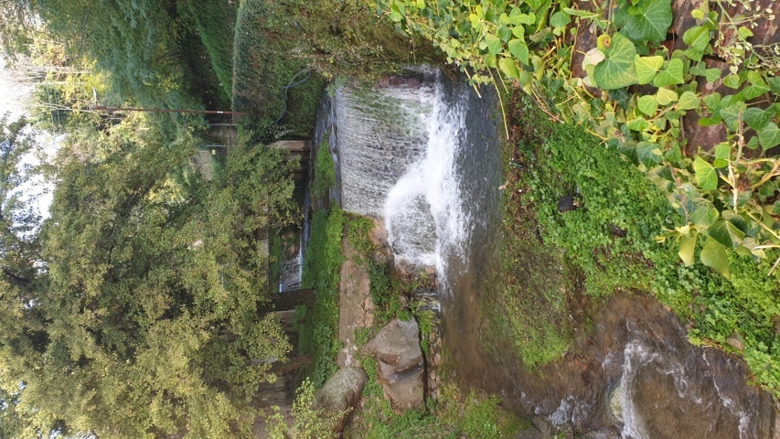 20191120_105139_FILEminimizer.jpg