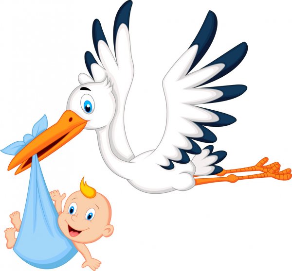 cicogna-carrying-baby.jpg